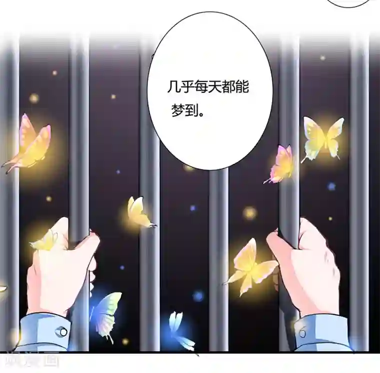 闪婚惊爱第83话 梦与蝴蝶