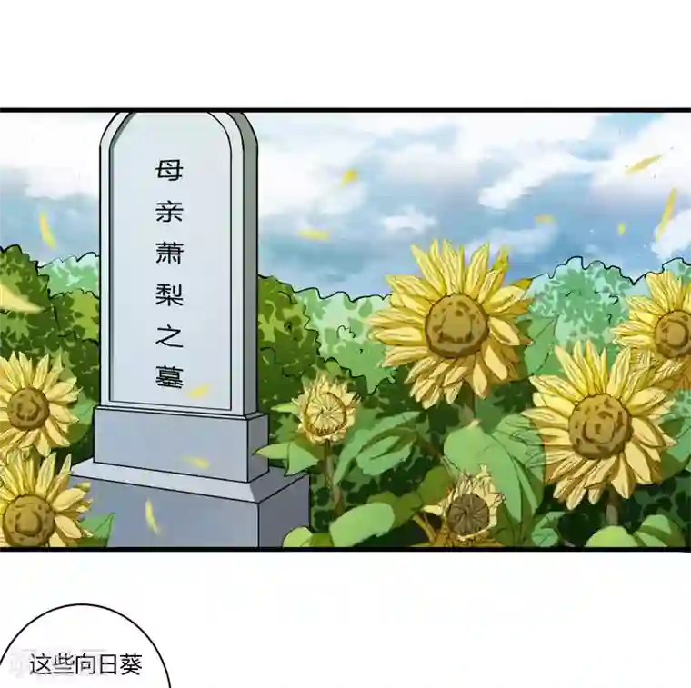 闪婚惊爱第105话 妈，我会让斜阳幸福的