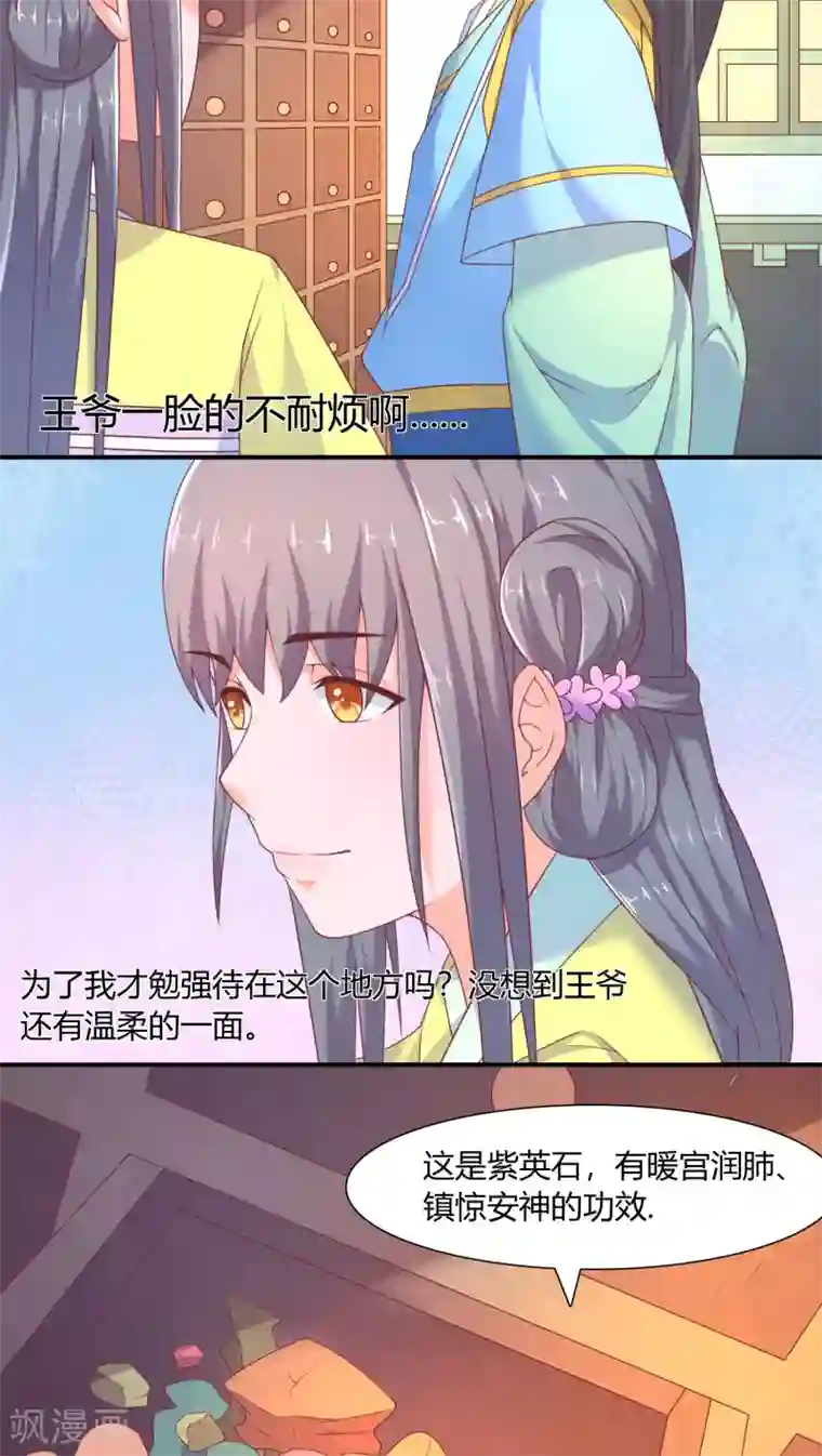 傻萌王爷撩医妃第22话 变数