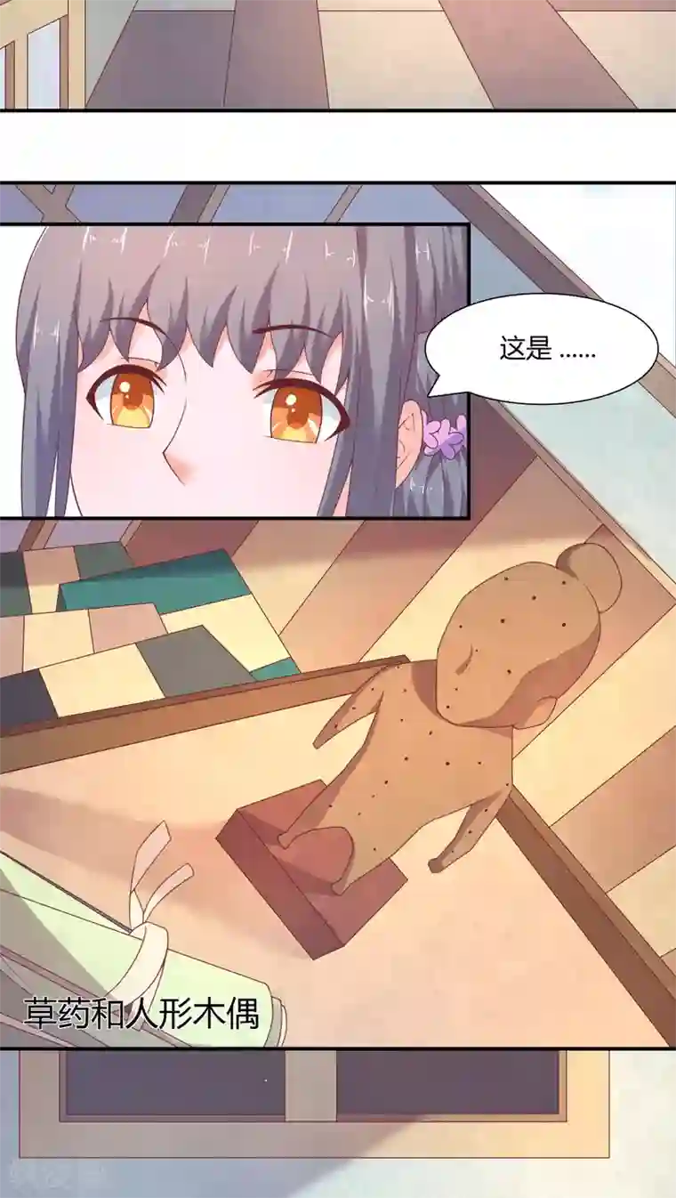 傻萌王爷撩医妃第23话 各怀鬼胎