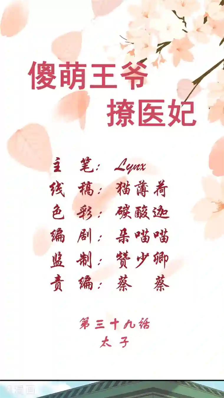 傻萌王爷撩医妃第39话 太子1