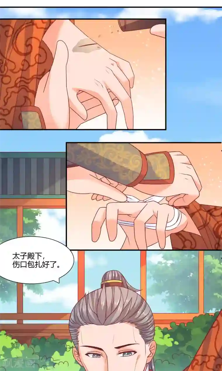 傻萌王爷撩医妃第40话 太子2