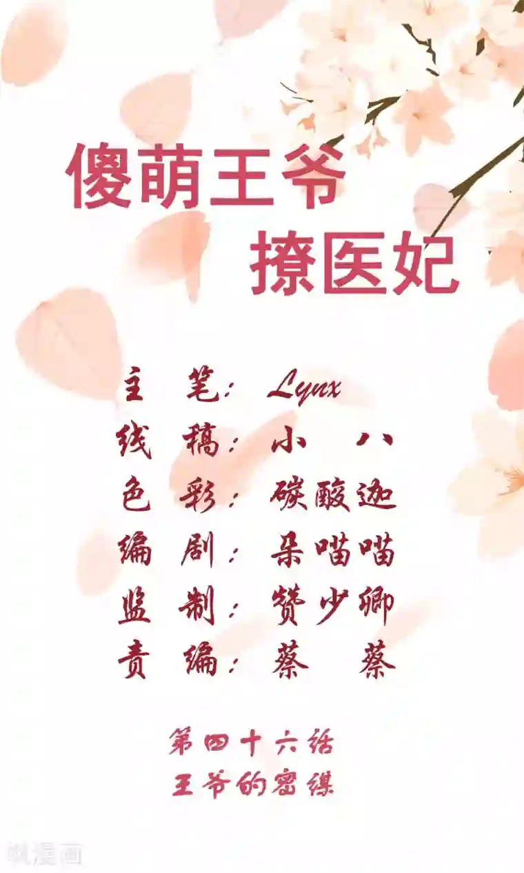 傻萌王爷撩医妃第46话 王爷的密谋