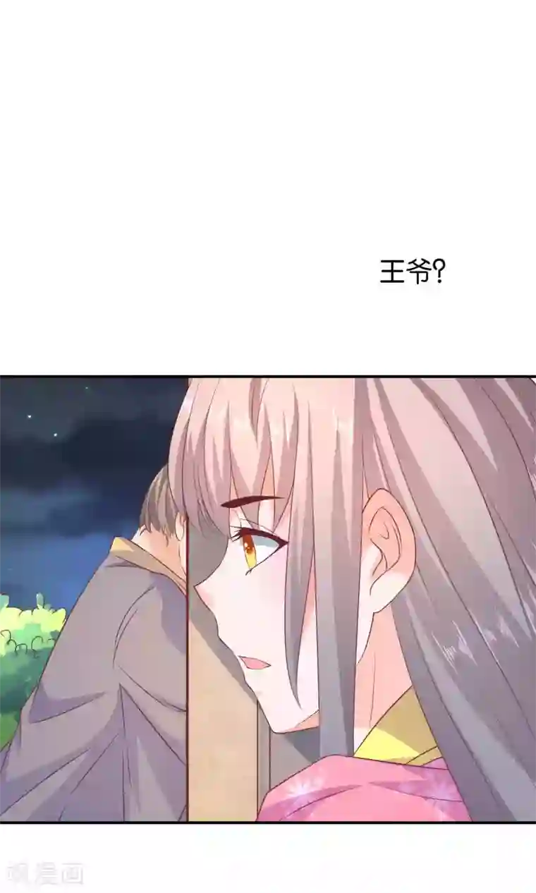 傻萌王爷撩医妃第46话 王爷的密谋