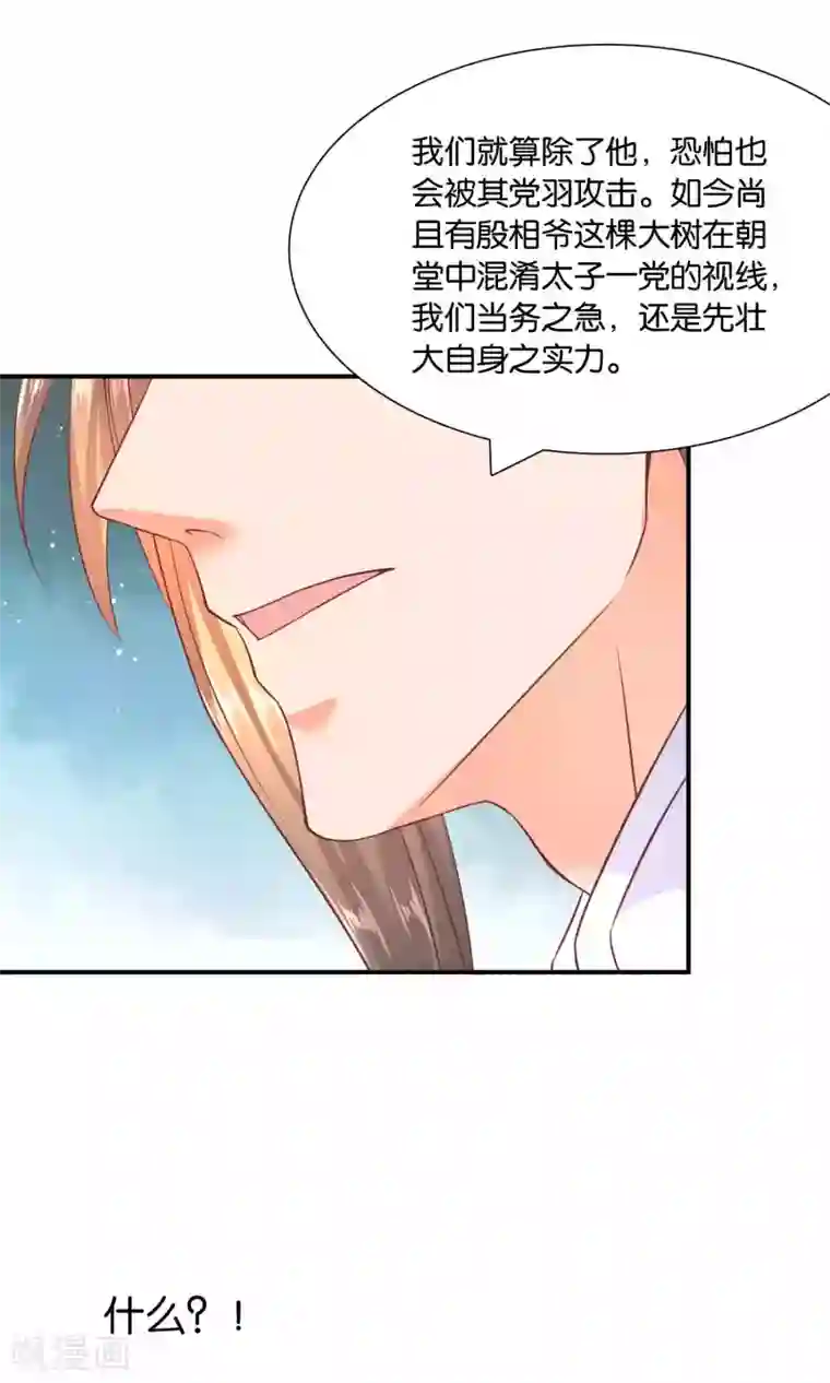 傻萌王爷撩医妃第46话 王爷的密谋