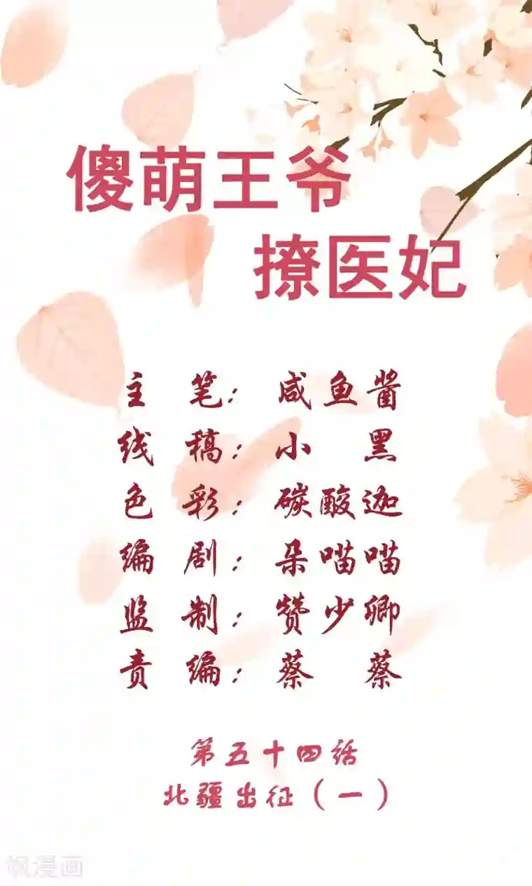 傻萌王爷撩医妃第54话 北疆出征1