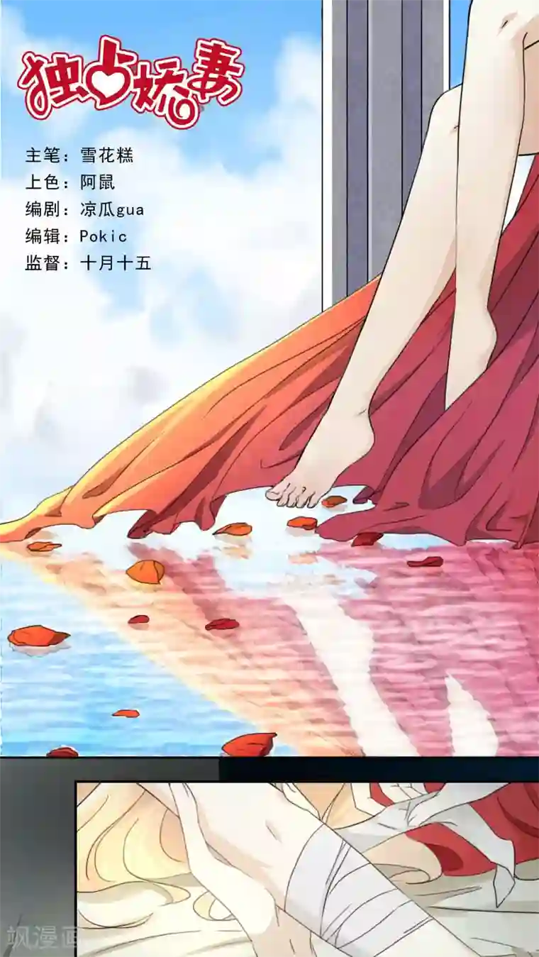 独占娇妻第48话