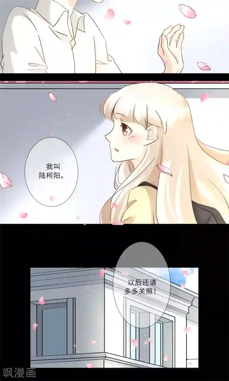 独占娇妻第95话