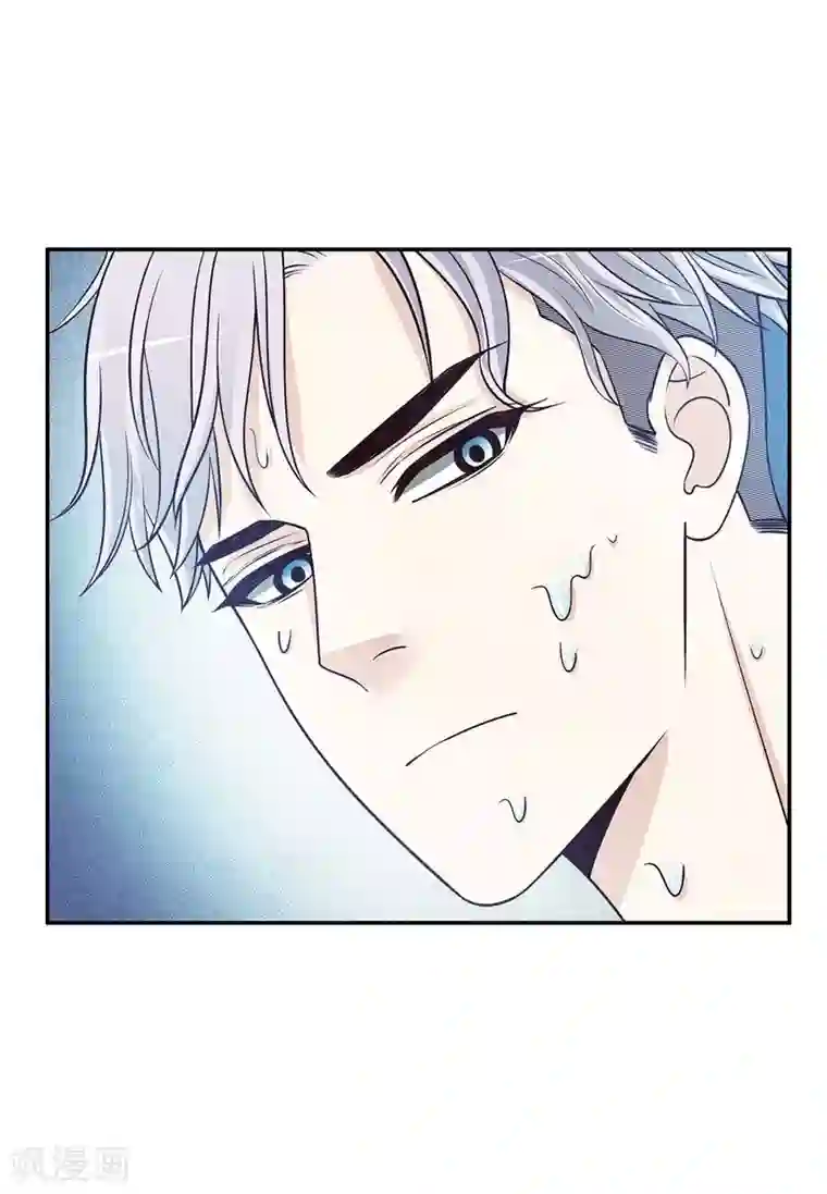 嘿嘿嘿总裁的101种方法第36话 计中计