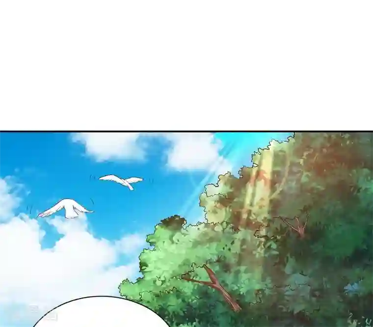 嘿嘿嘿总裁的101种方法第60话 提前回国