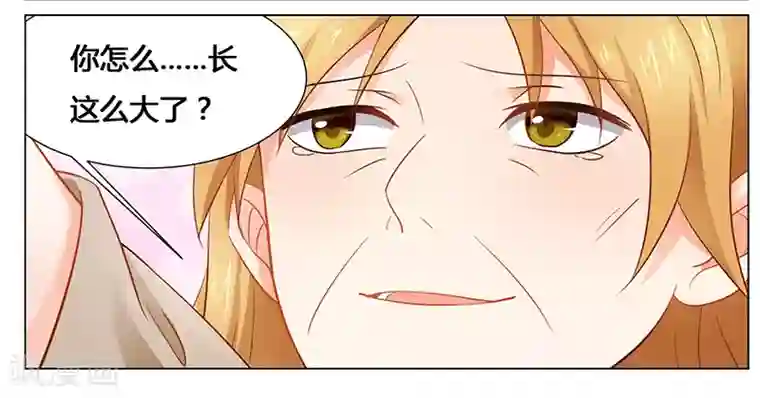 腹黑总裁别乱来第37话 打败戴力熊