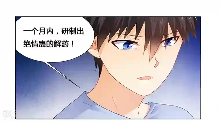 腹黑总裁别乱来第52话 动了不该动的人