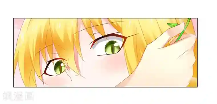 腹黑总裁别乱来第58话 危机一刻