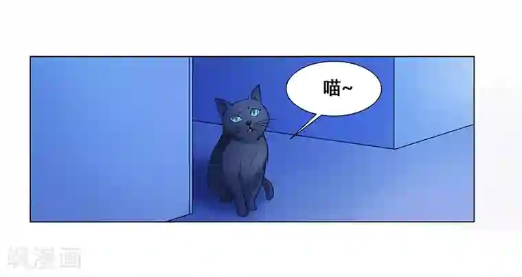 腹黑总裁别乱来第64话 失踪