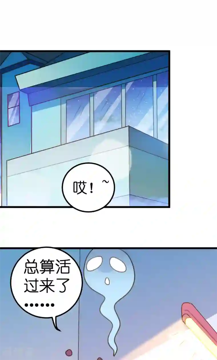 总裁的专属空姐第50话