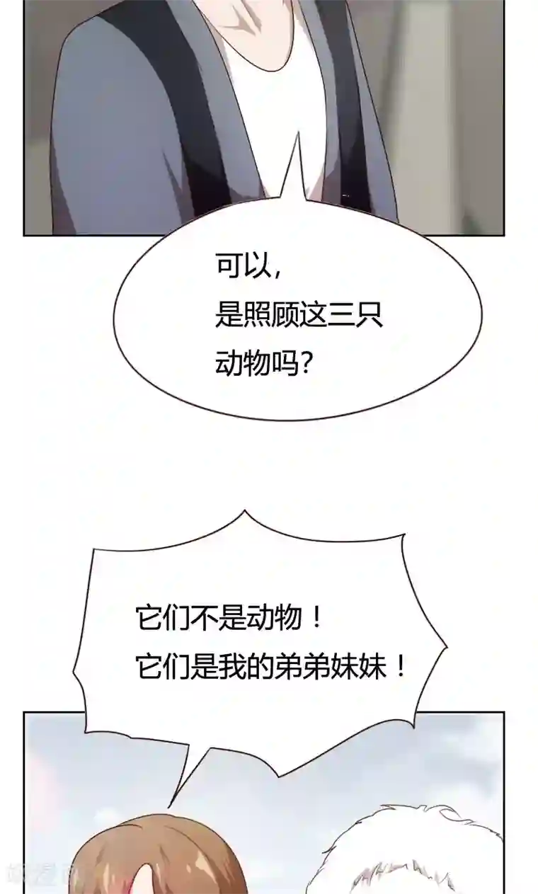 贴身御医第37话