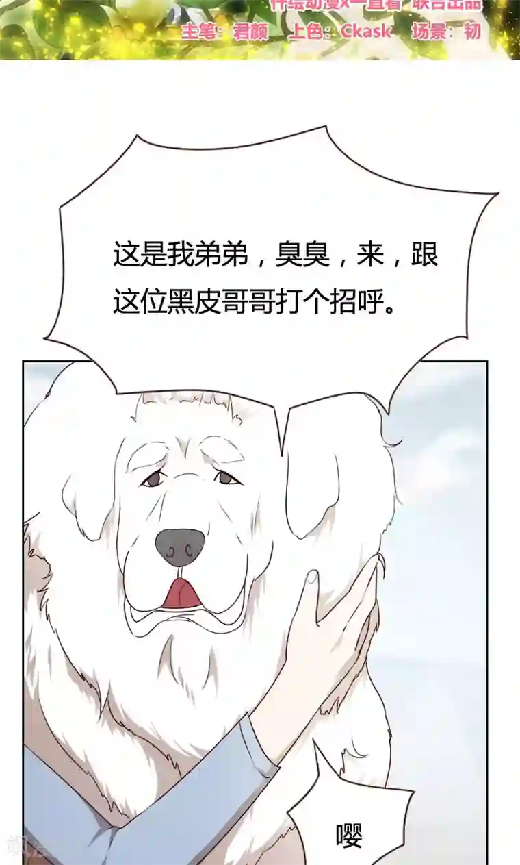 贴身御医第38话