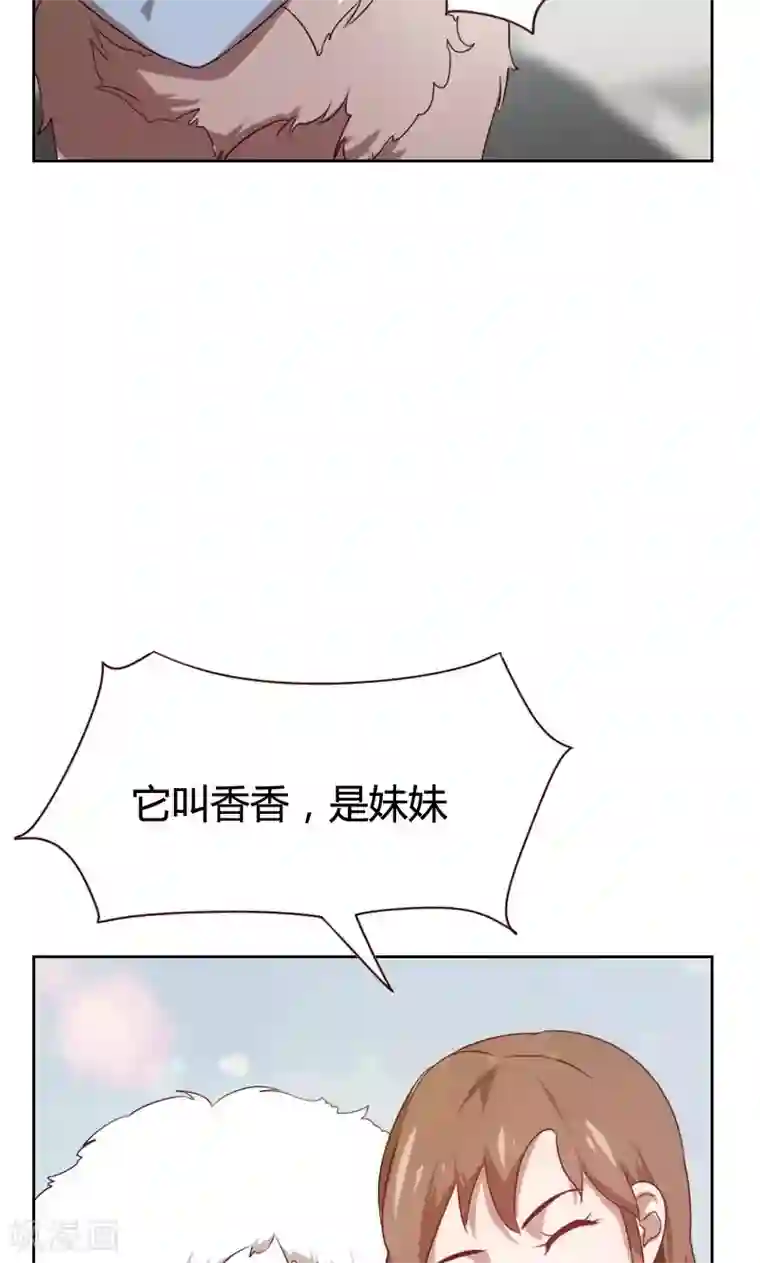 贴身御医第38话