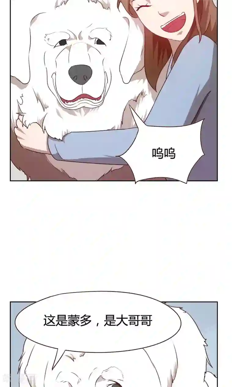 贴身御医第38话