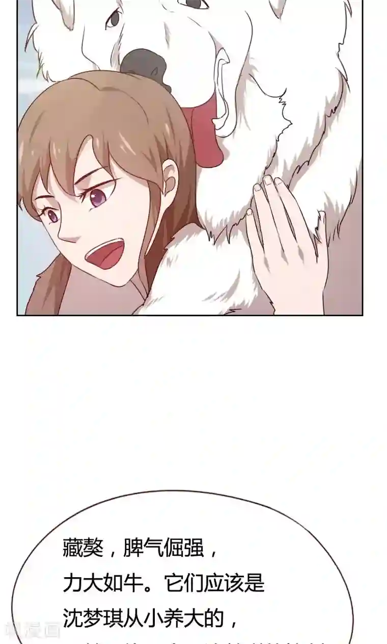 贴身御医第38话