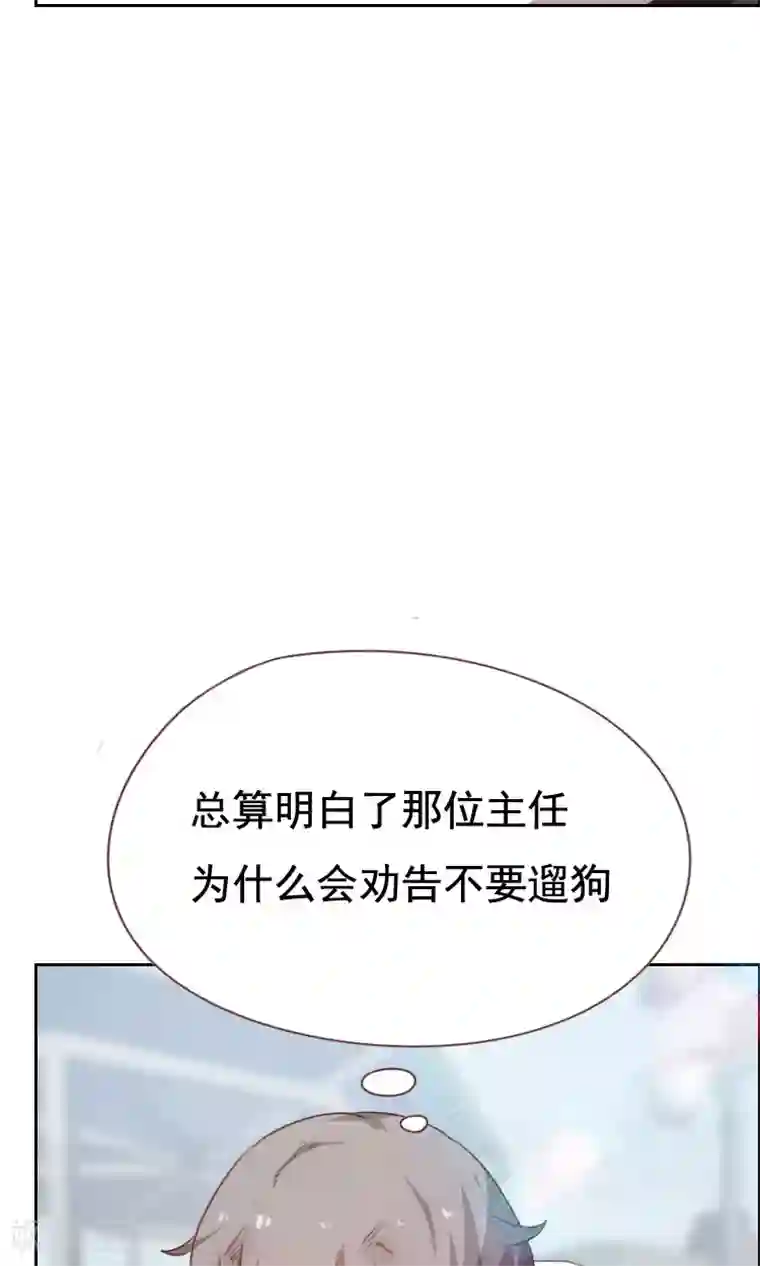贴身御医第51话