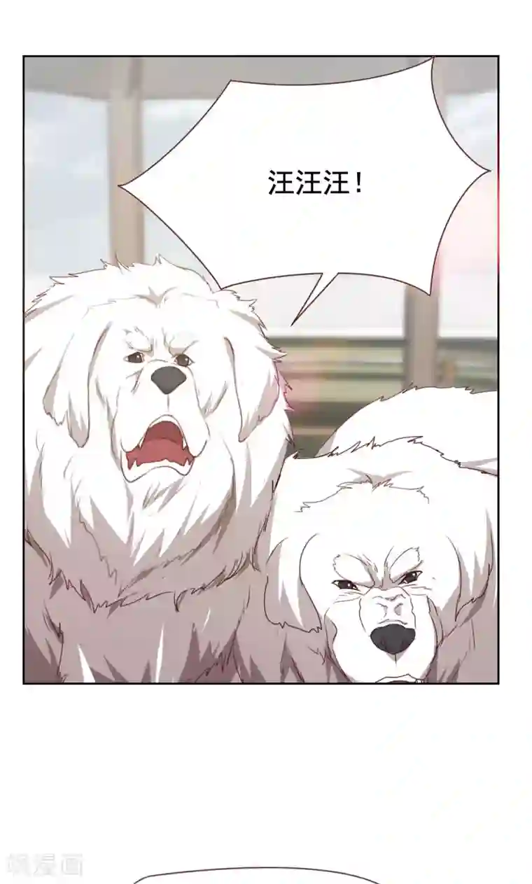 贴身御医第52话