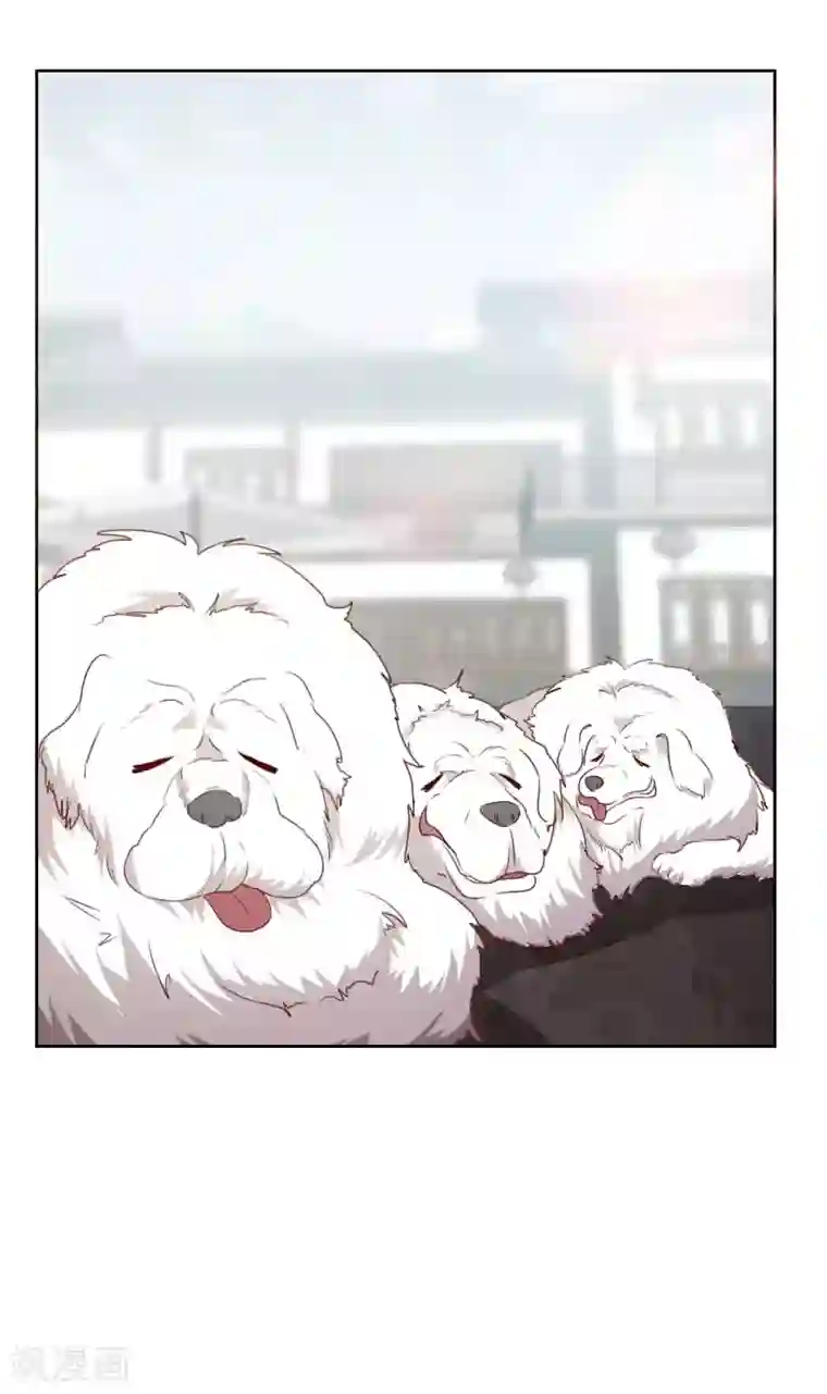 贴身御医第56话