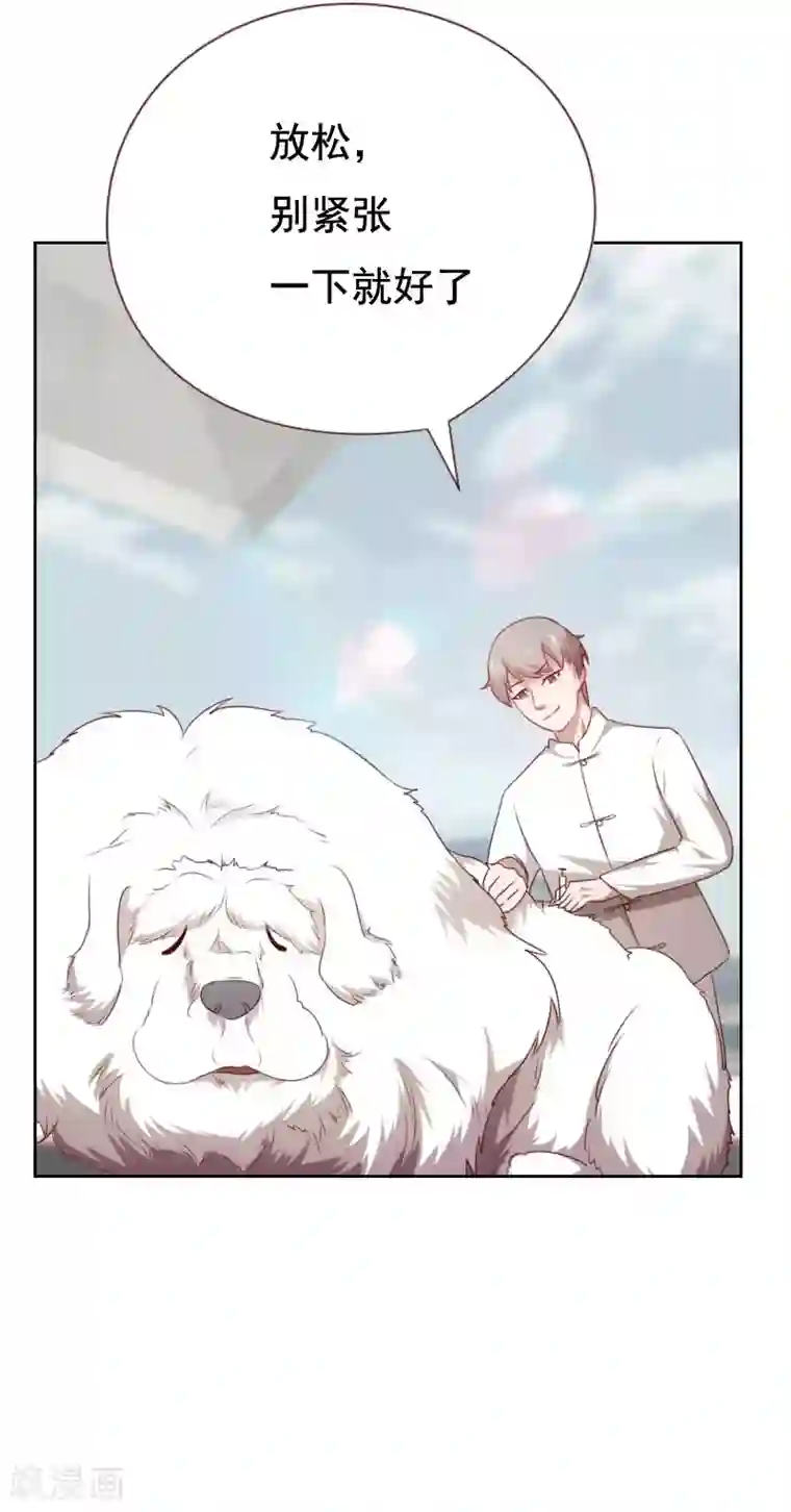 贴身御医第56话