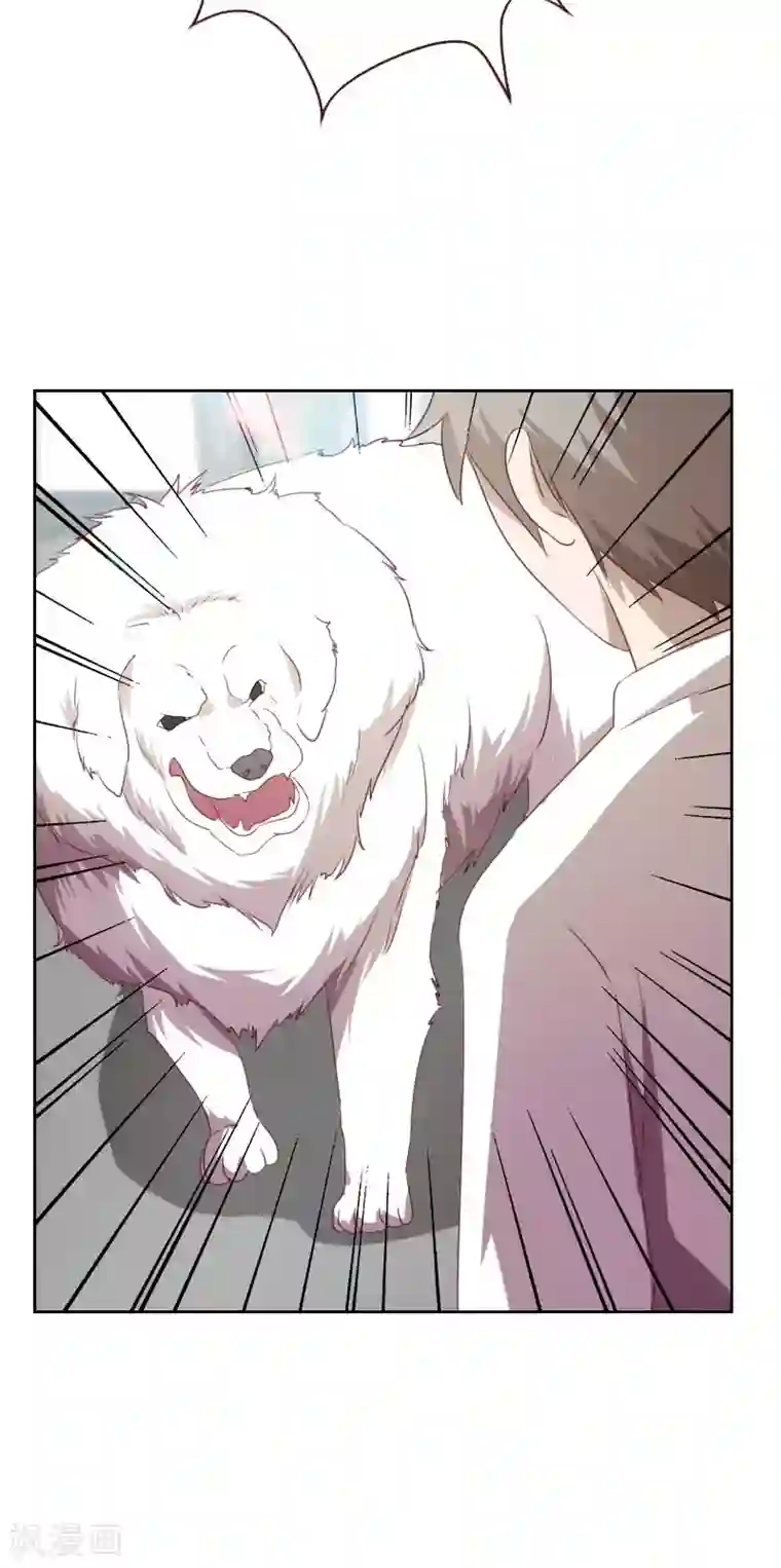 贴身御医第56话