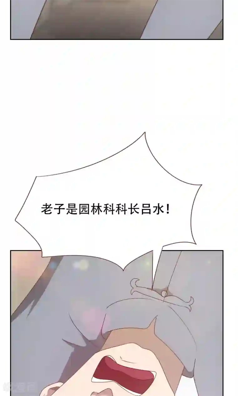 贴身御医第61话