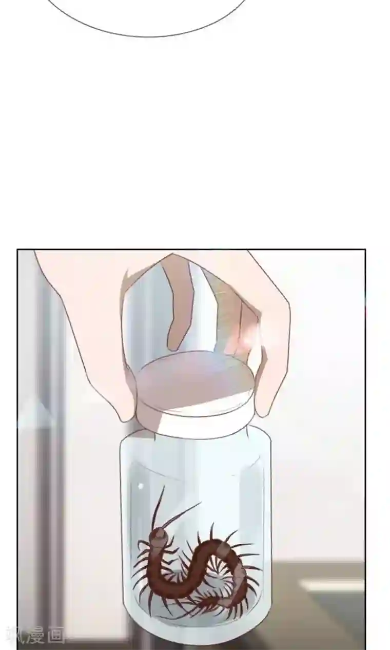 贴身御医第62话