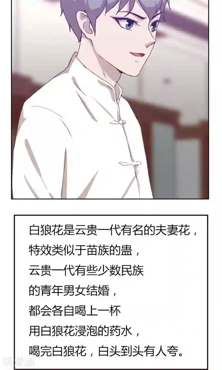 贴身御医第73话