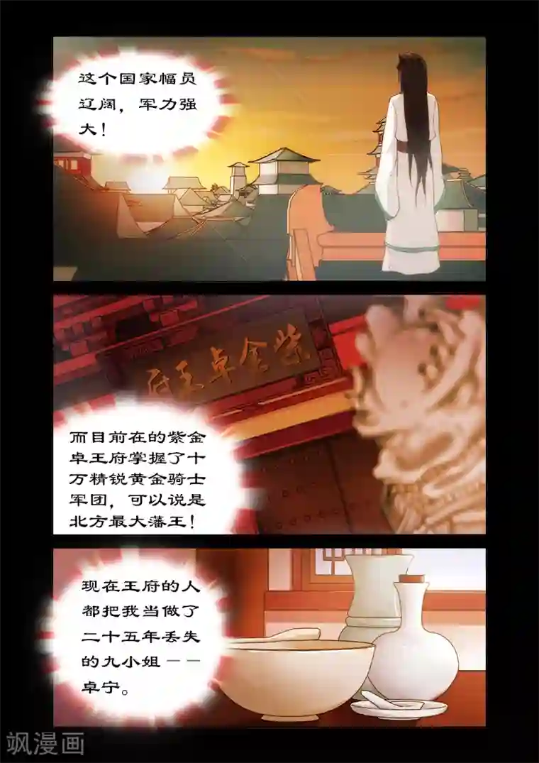 拒绝暴君专宠：凶猛王妃第9话 飞来的四哥