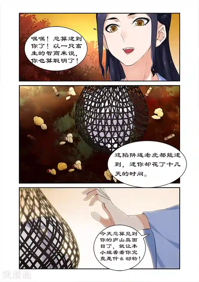 拒绝暴君专宠：凶猛王妃第19话 黑蔷薇之迷