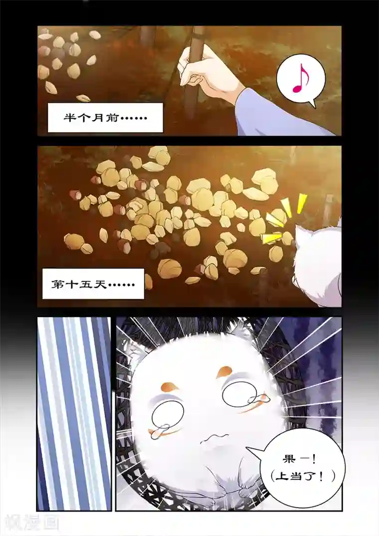 拒绝暴君专宠：凶猛王妃第19话 黑蔷薇之迷