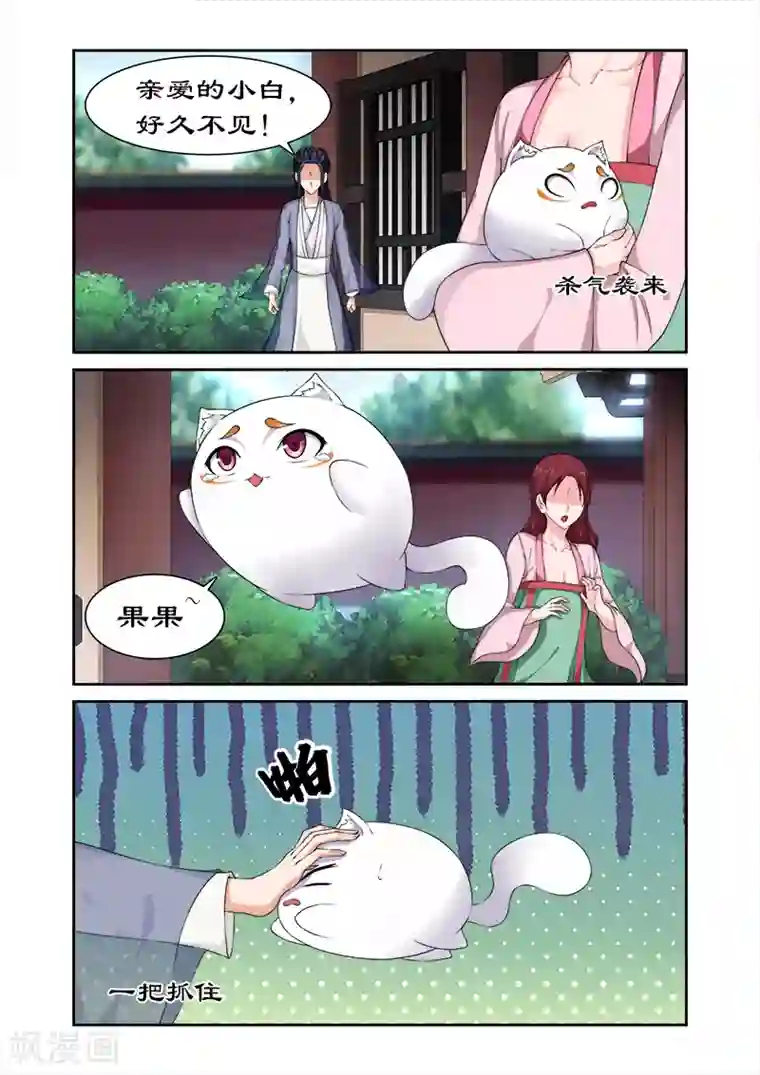 拒绝暴君专宠：凶猛王妃第78话 亲爱的小白好久不见