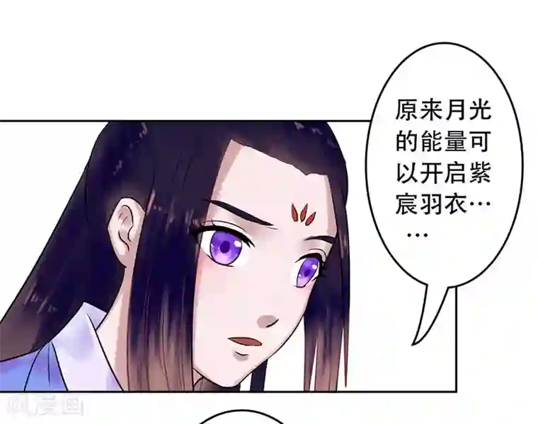 王爷想洞房：魅惑王妃第10话 落樱剑法第九重