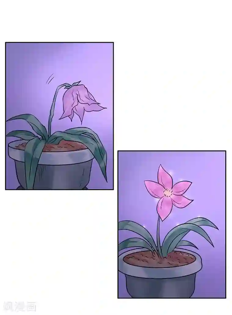 王爷想洞房：魅惑王妃第10话 落樱剑法第九重