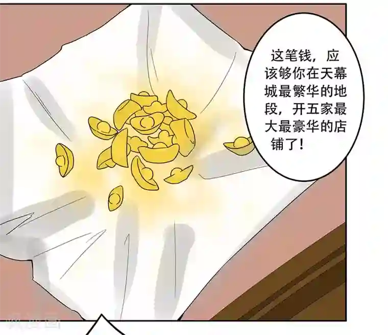 王爷想洞房：魅惑王妃第26话 生意合伙人