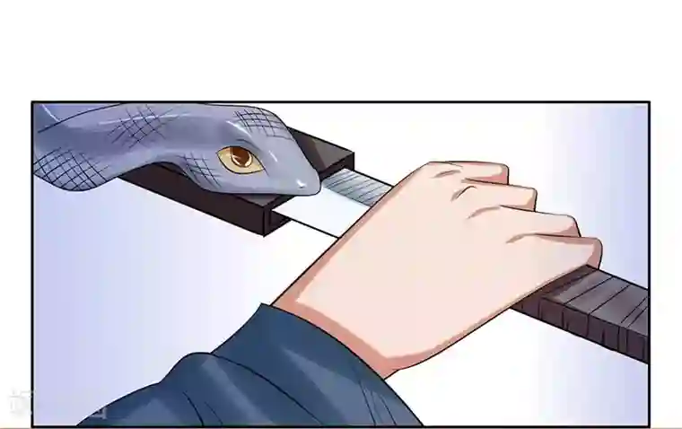 王爷想洞房：魅惑王妃第33话 四王爷娶了个宝