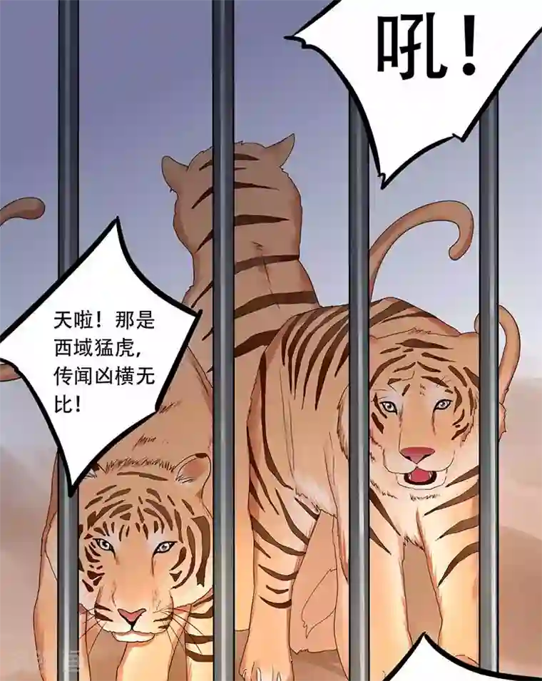 王爷想洞房：魅惑王妃第62话 打虎