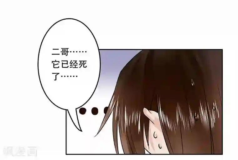 王爷想洞房：魅惑王妃第62话 打虎