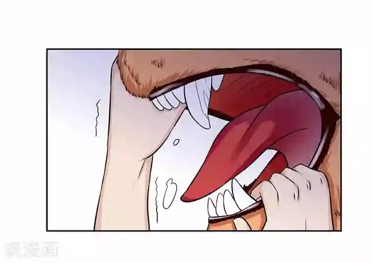 王爷想洞房：魅惑王妃第62话 打虎