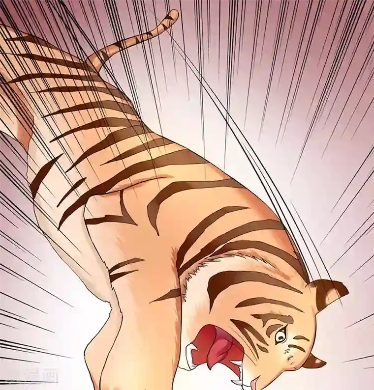 王爷想洞房：魅惑王妃第62话 打虎