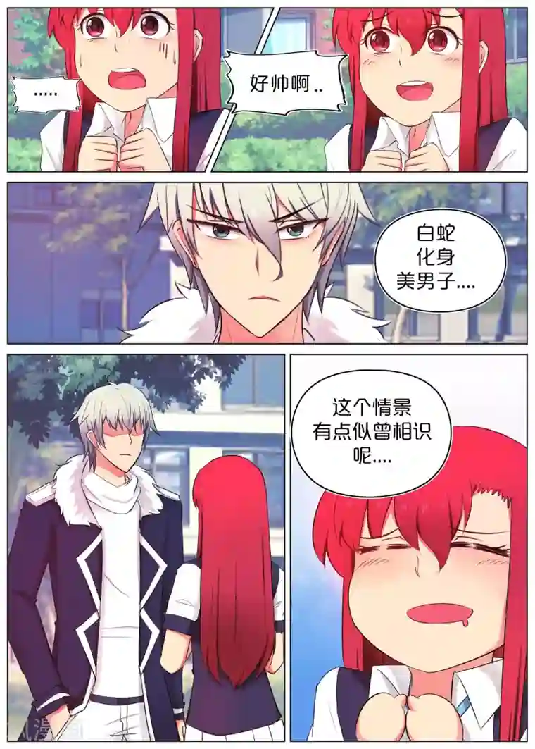 蛇王大人的女仆第1话