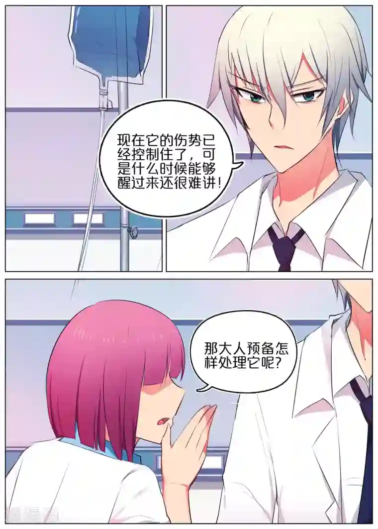 蛇王大人的女仆第28话