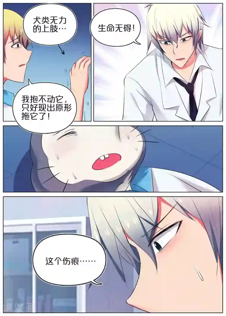 蛇王大人的女仆第43话