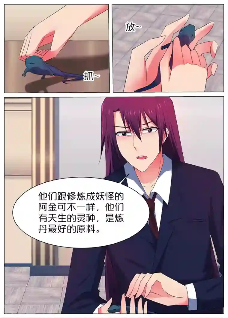 蛇王大人的女仆第48话