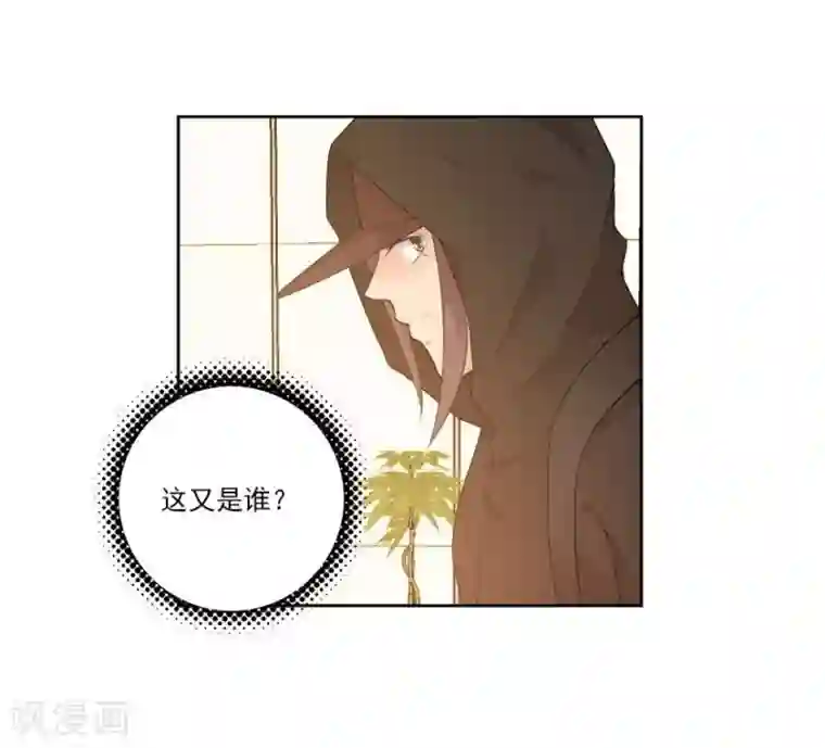 爱困囚笼第28话 跟踪