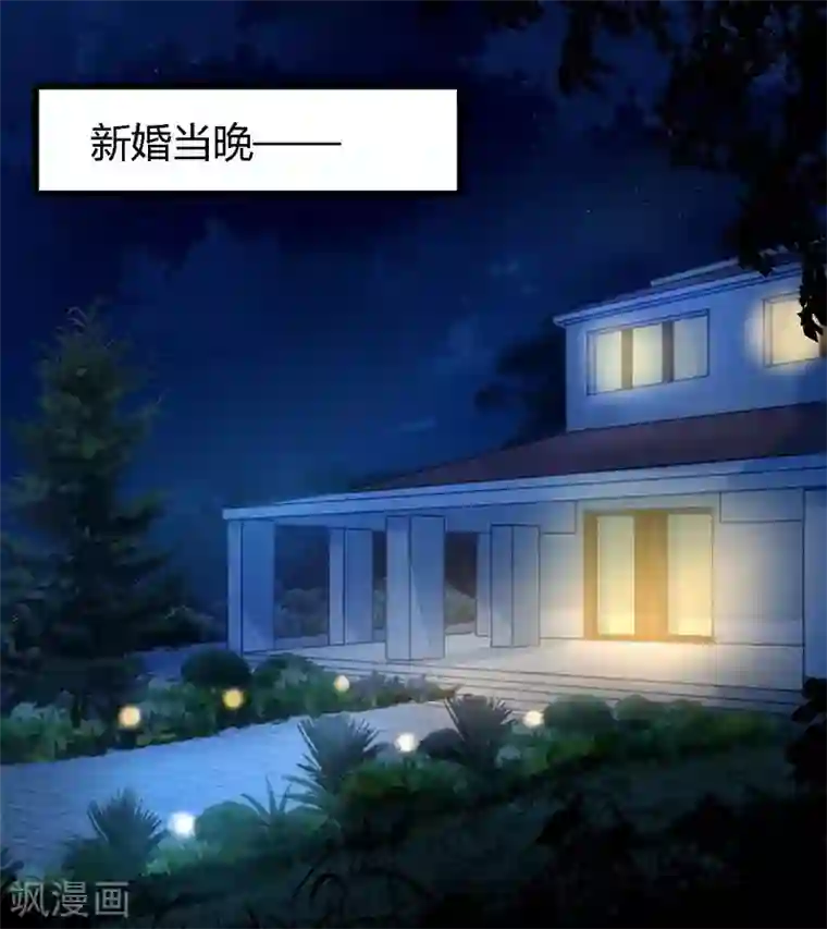 一夜豪门：总裁我已婚第2话 新婚夜的第三者